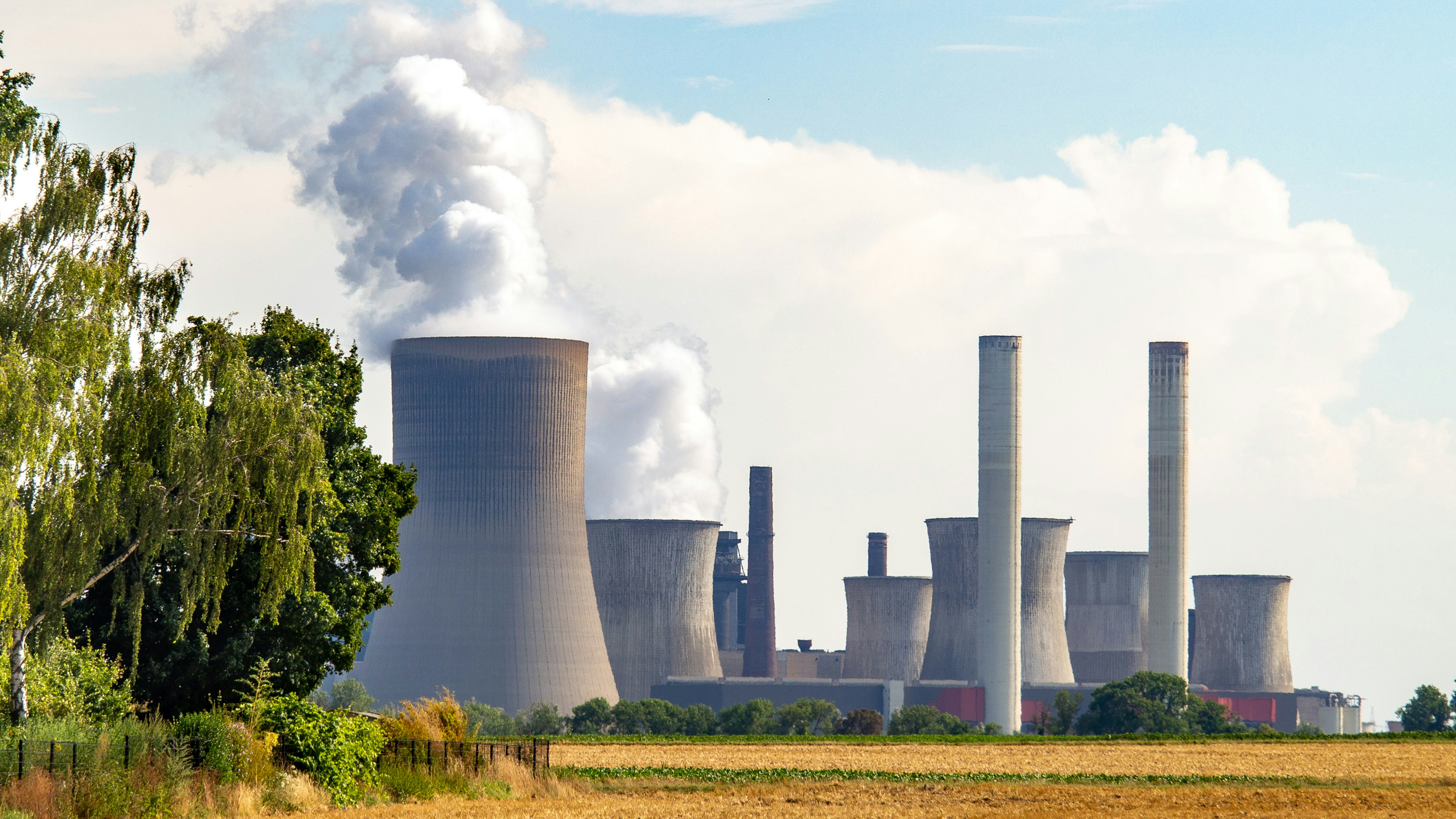 Biomass Energy Projects